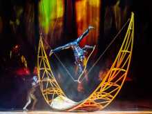 OVO - Cirque du Soleil