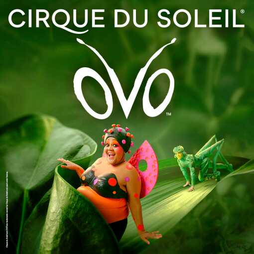 OVO - Cirque du Soleil OVO - Cirque du Soleil