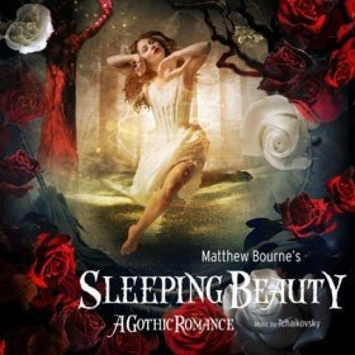 Sleeping Beauty Sleeping Beauty