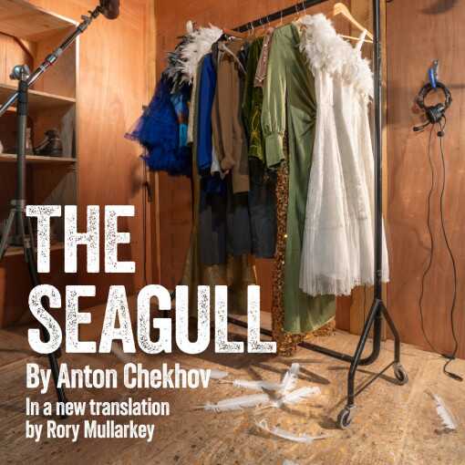 The Seagull