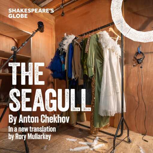The Seagull
