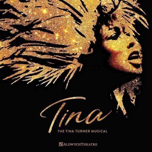 Tina The Musical Tina The Musical